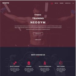 Neogym  (HTML-free)