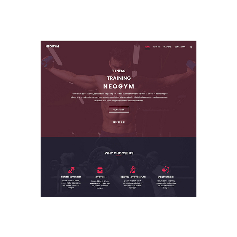 Neogym  (HTML-free)